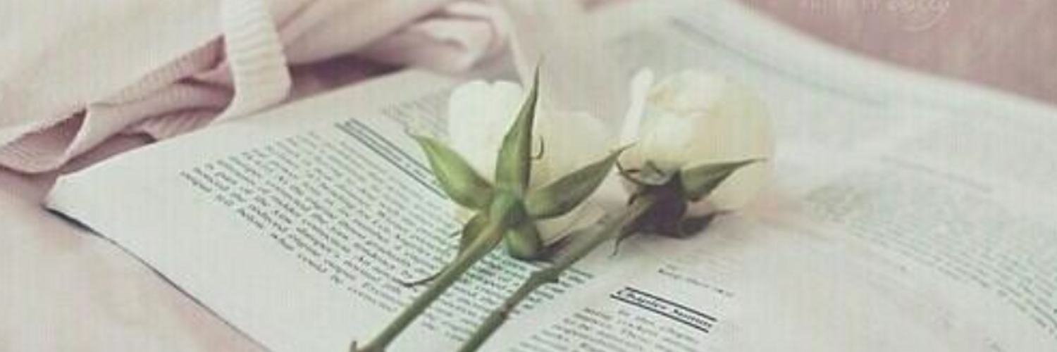 7 رقم مجموعة الصور