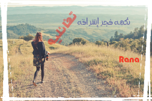13 رقم مجموعة الصور