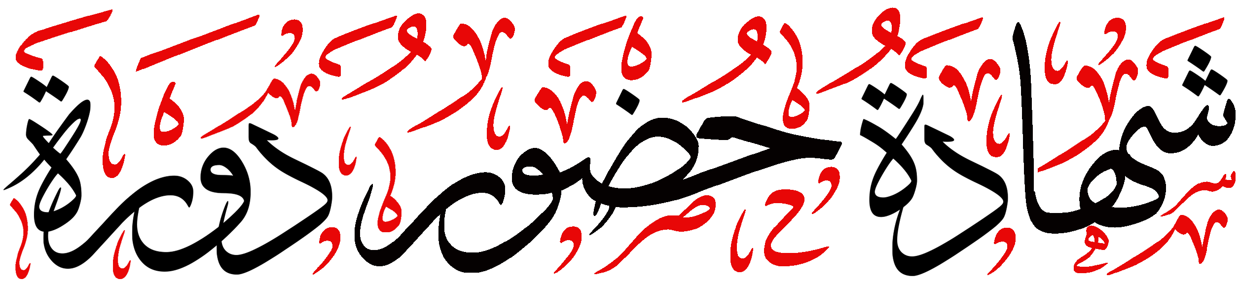 9 رقم مجموعة الصور