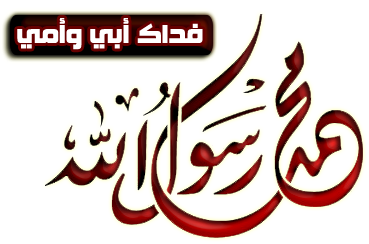 11 رقم مجموعة الصور