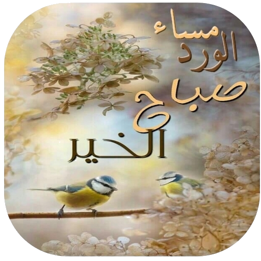 7 رقم مجموعة الصور