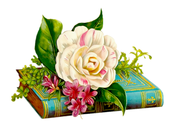 9 رقم مجموعة الصور