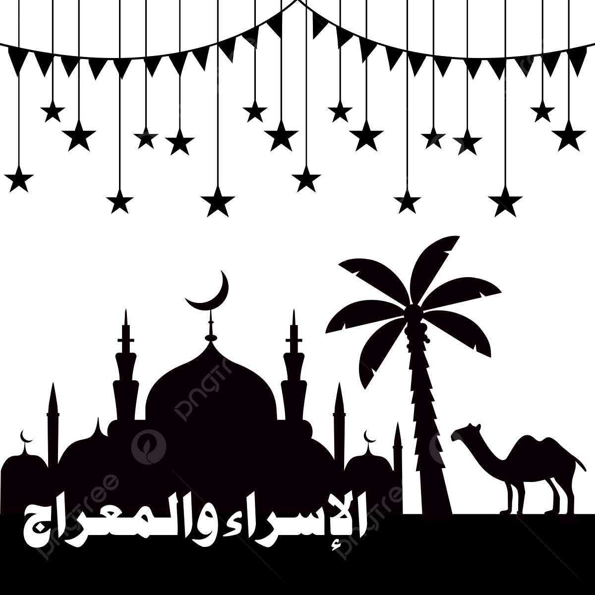 11 رقم مجموعة الصور