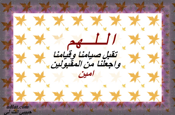 11 رقم مجموعة الصور
