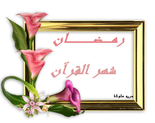 13 رقم مجموعة الصور