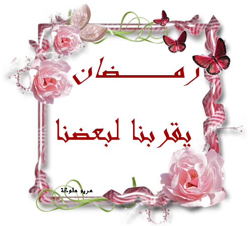 5 رقم مجموعة الصور