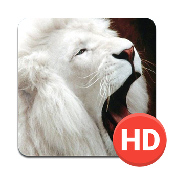 12 رقم مجموعة الصور