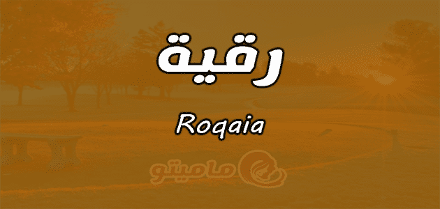 4 رقم مجموعة الصور