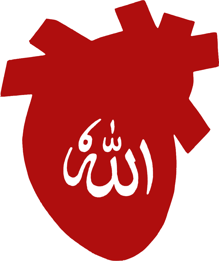 12 رقم مجموعة الصور