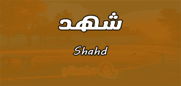 6 رقم مجموعة الصور