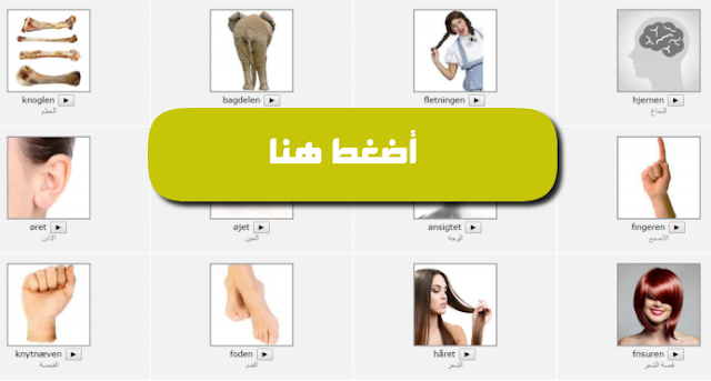 13 رقم مجموعة الصور