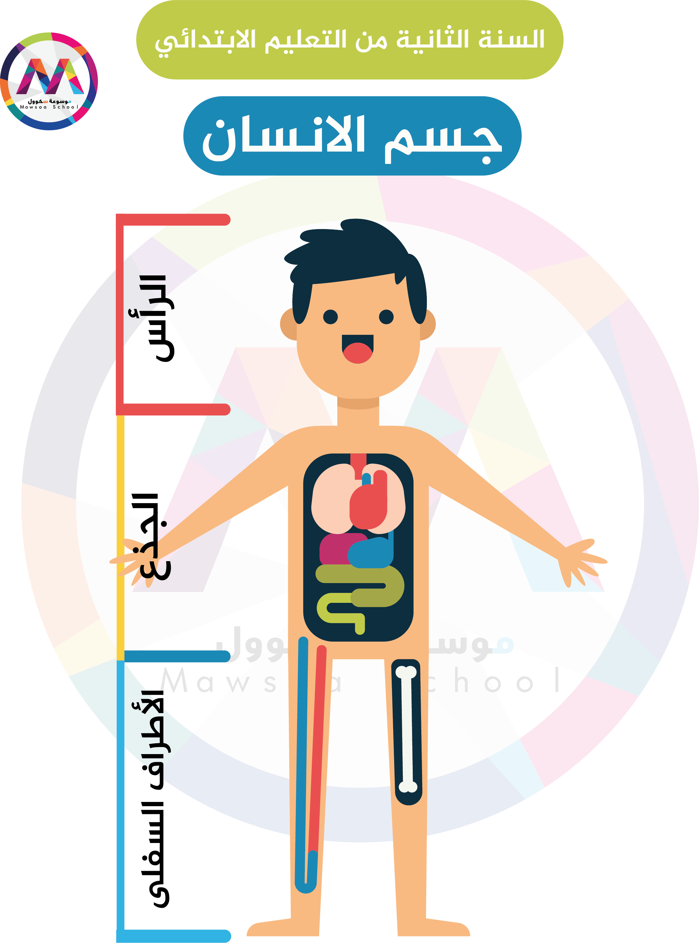 4 رقم مجموعة الصور