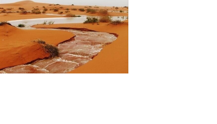 12 رقم مجموعة الصور