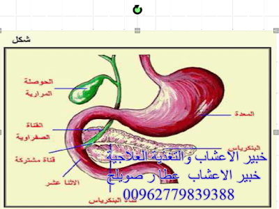 2 رقم مجموعة الصور