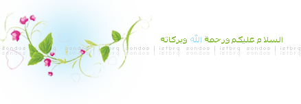 2 رقم مجموعة الصور