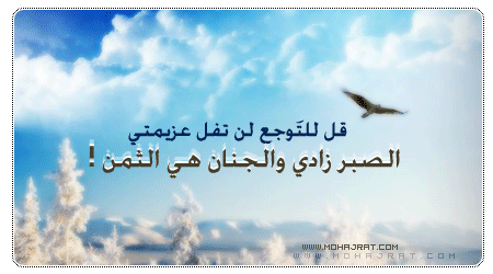 4 رقم مجموعة الصور