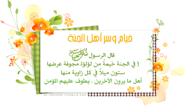 5 رقم مجموعة الصور
