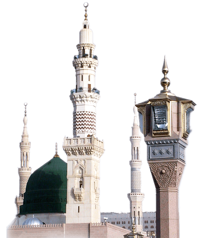 3 رقم مجموعة الصور