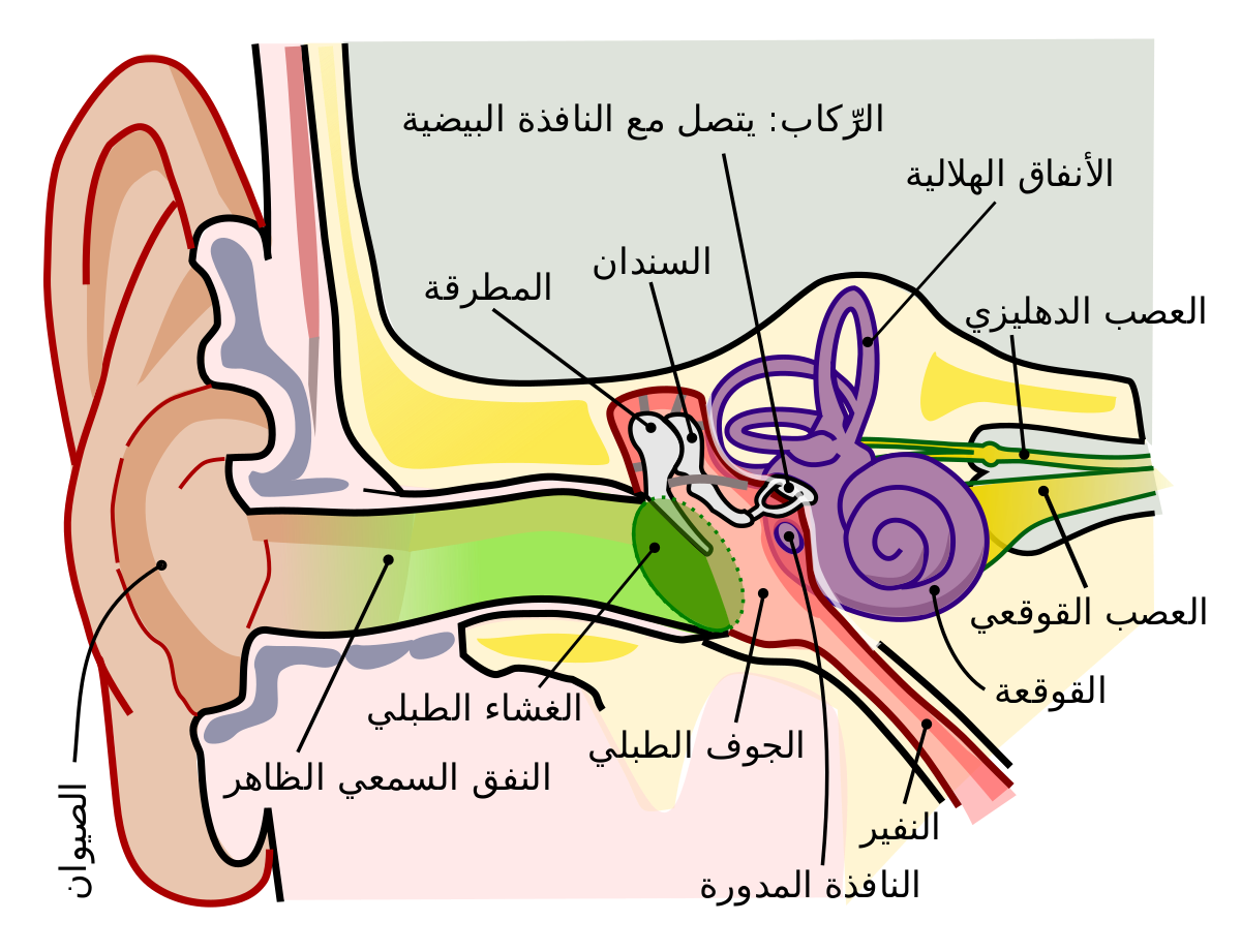 3 رقم مجموعة الصور