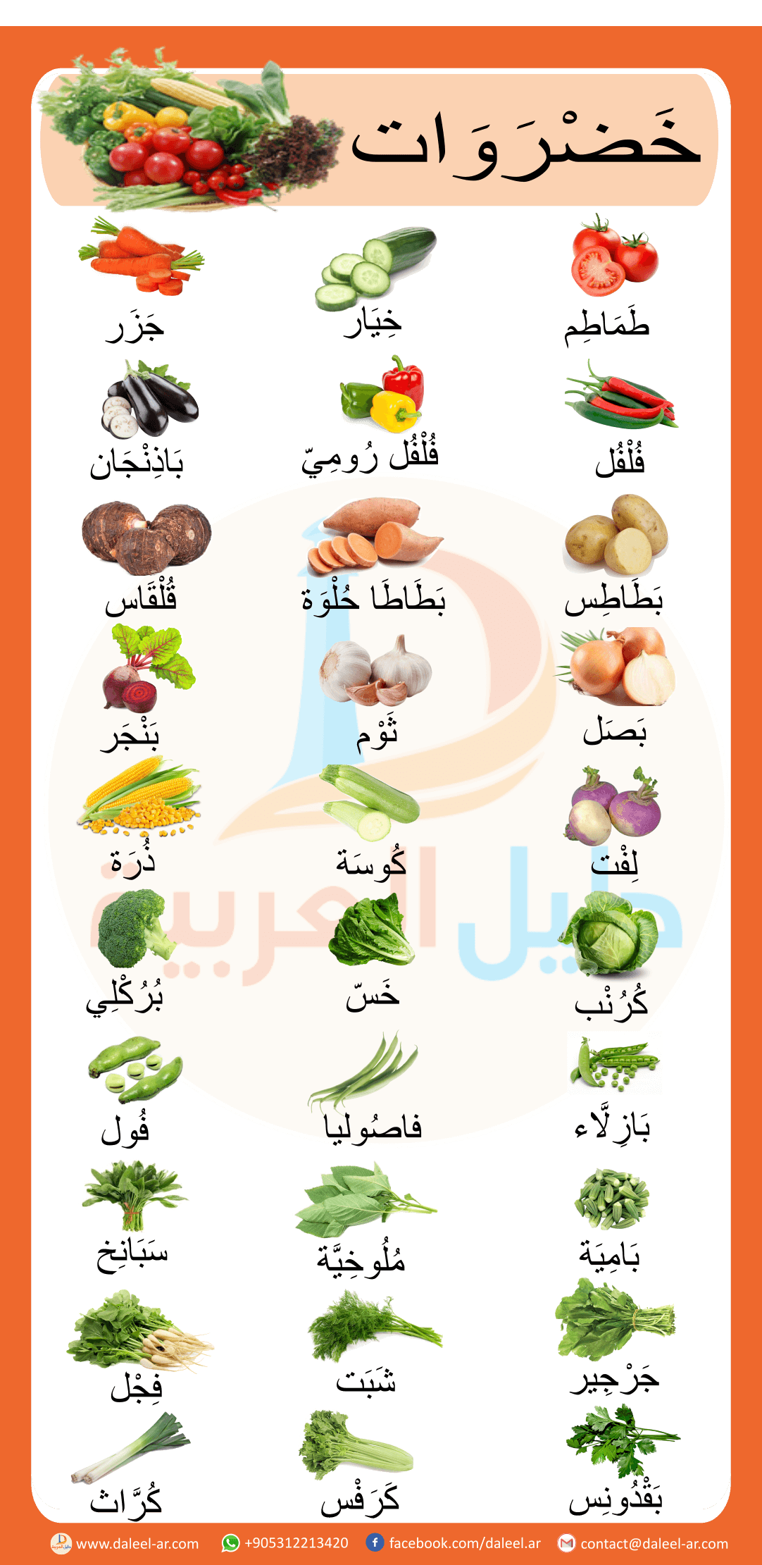 13 رقم مجموعة الصور