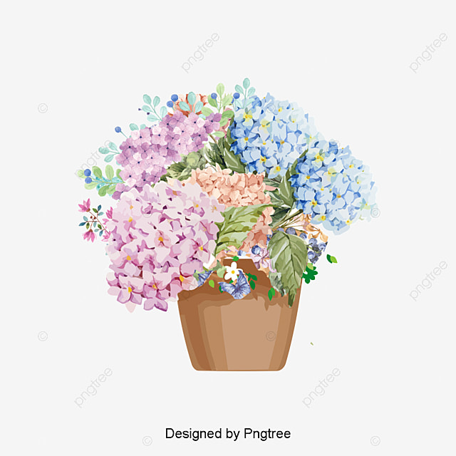 صور الربيع - KibrisPDR