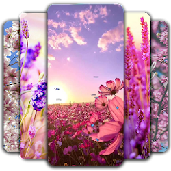 8 رقم مجموعة الصور