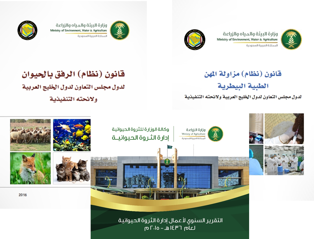 4 رقم مجموعة الصور