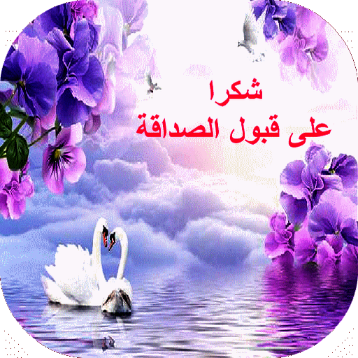 9 رقم مجموعة الصور