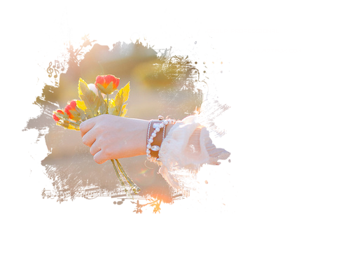 9 رقم مجموعة الصور