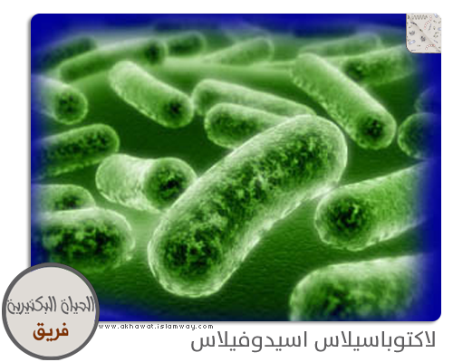 8 رقم مجموعة الصور