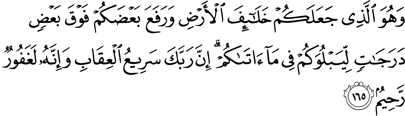 7 رقم مجموعة الصور