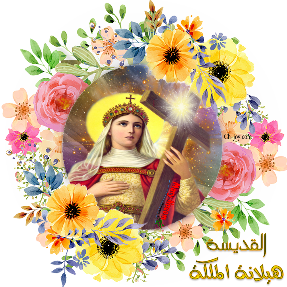8 رقم مجموعة الصور
