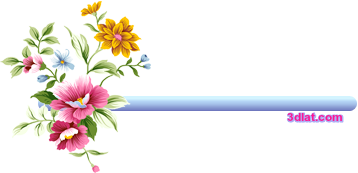4 رقم مجموعة الصور