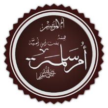 14 رقم مجموعة الصور