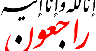 9 رقم مجموعة الصور