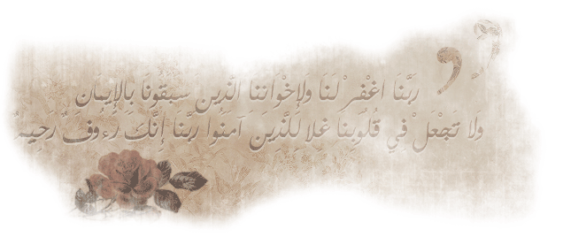 8 رقم مجموعة الصور