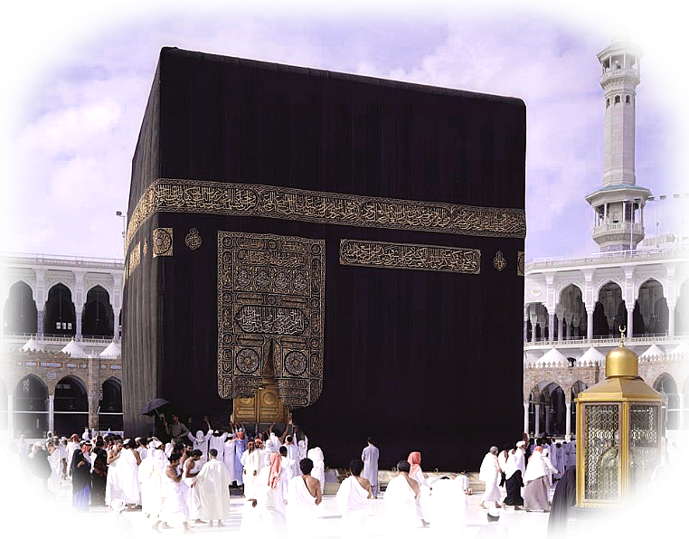 11 رقم مجموعة الصور