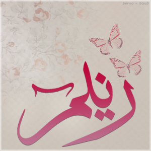 11 رقم مجموعة الصور