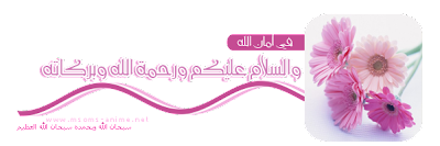 16 رقم مجموعة الصور