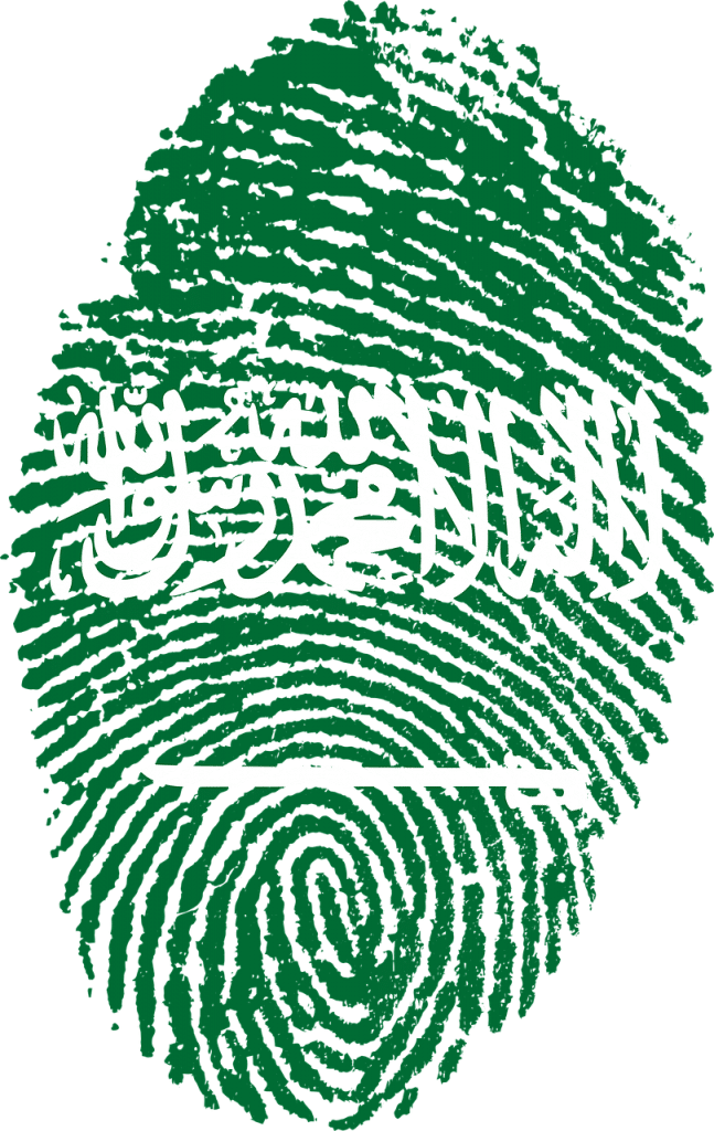 6 رقم مجموعة الصور