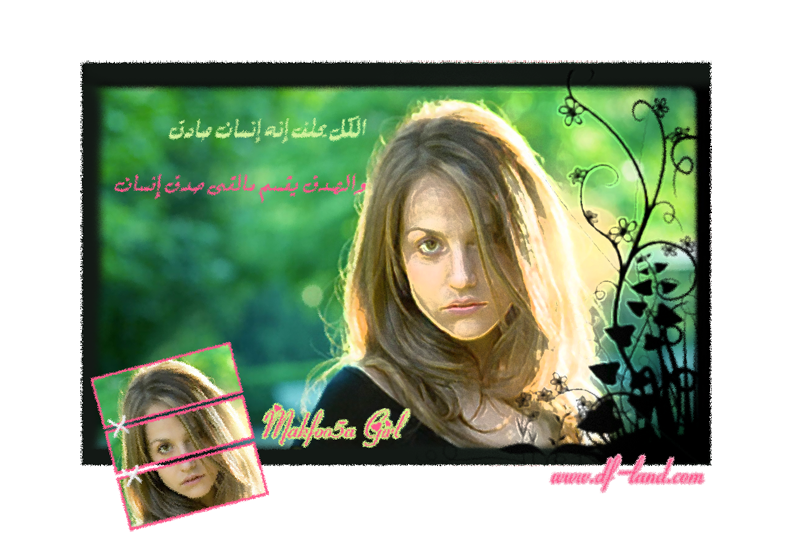 12 رقم مجموعة الصور