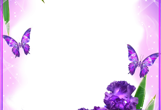 4 رقم مجموعة الصور