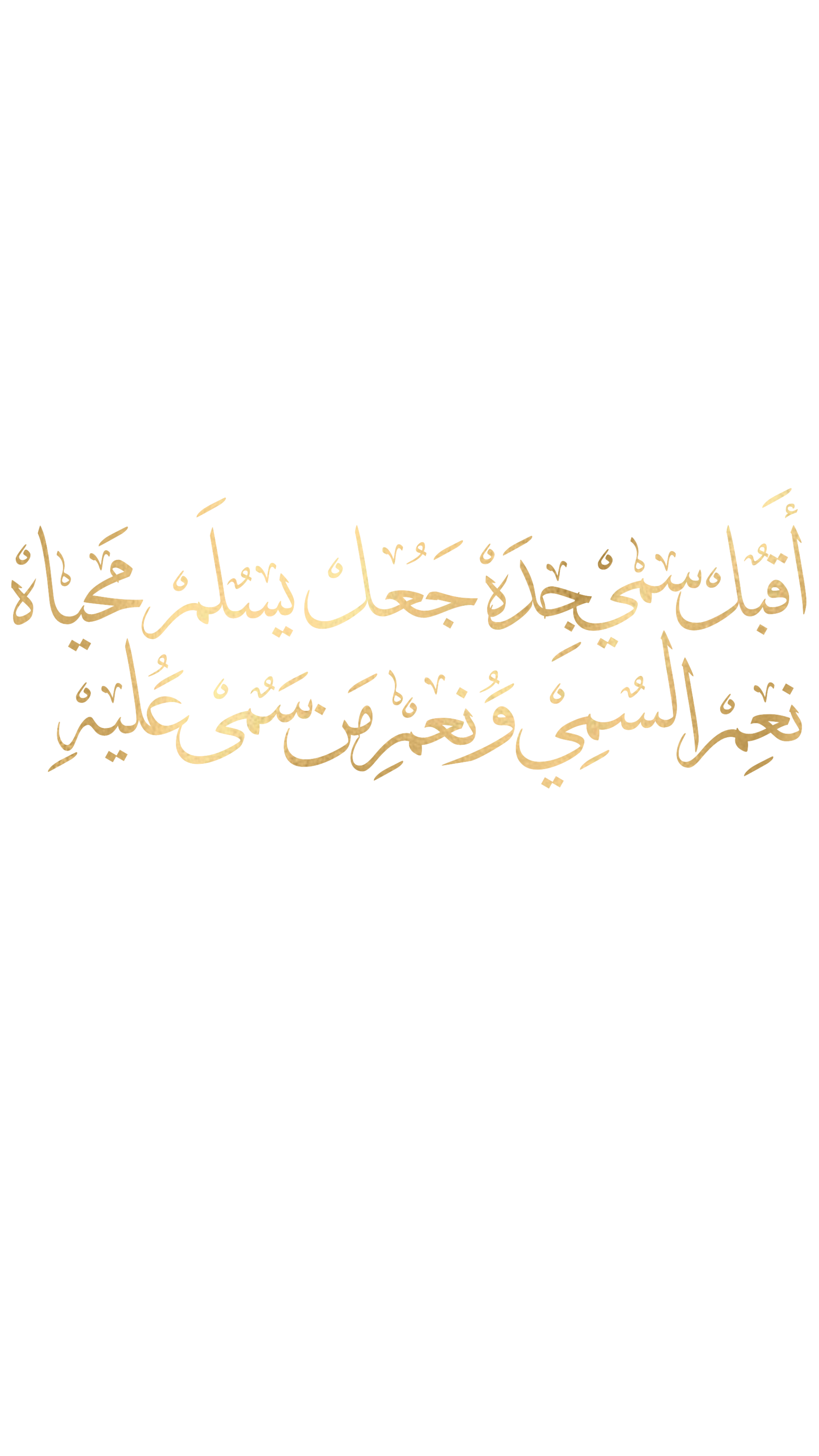 12 رقم مجموعة الصور