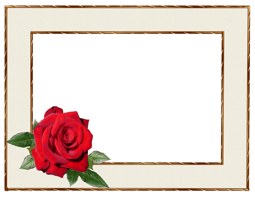 19 رقم مجموعة الصور