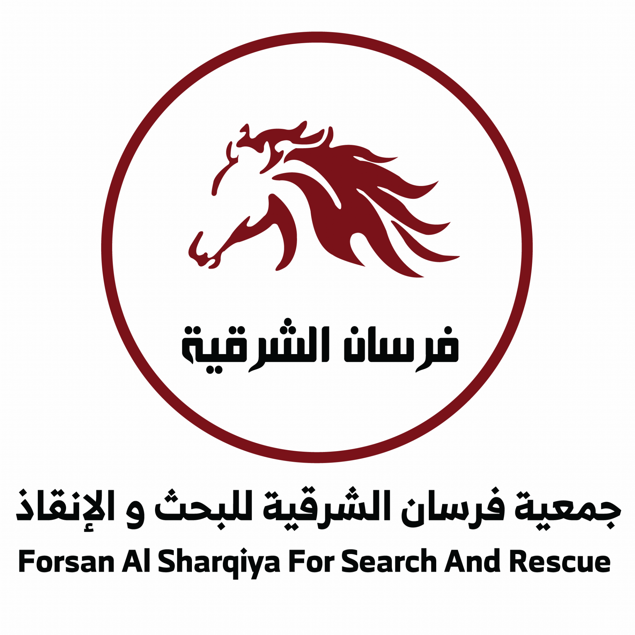 10 رقم مجموعة الصور