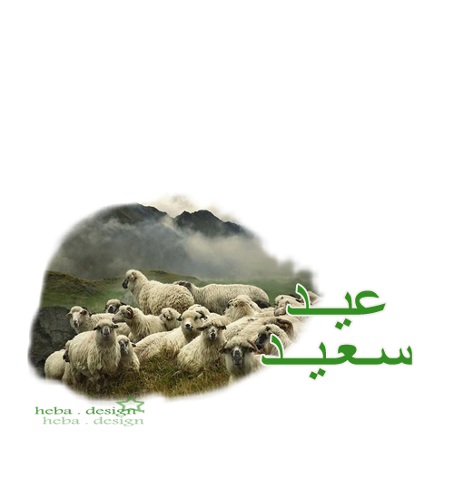 18 رقم مجموعة الصور