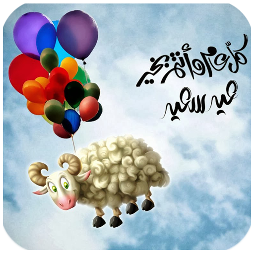 5 رقم مجموعة الصور