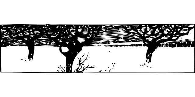 13 رقم مجموعة الصور