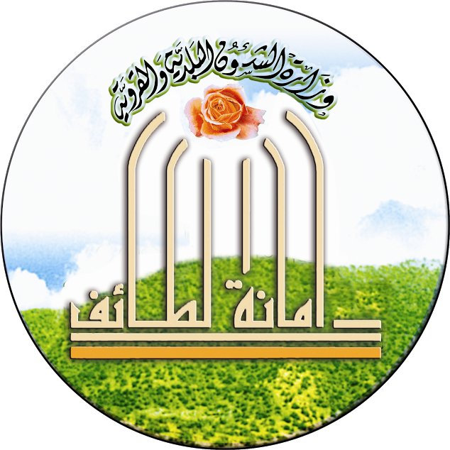 11 رقم مجموعة الصور