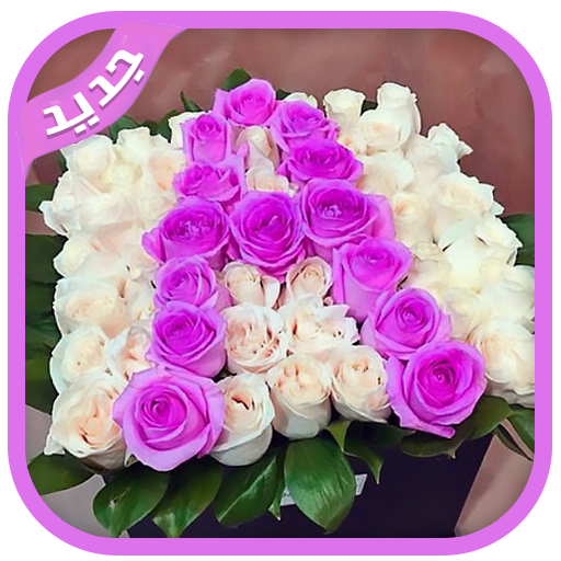 11 رقم مجموعة الصور